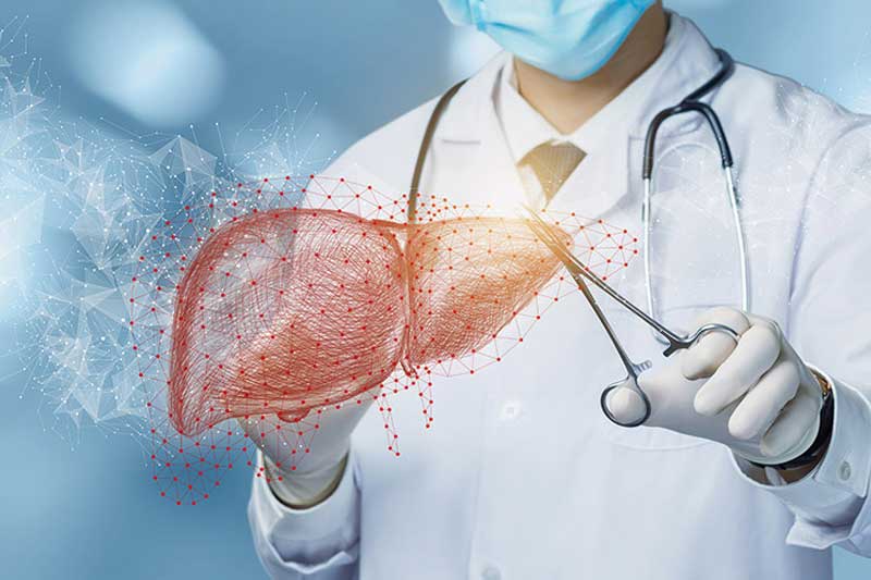 Liver